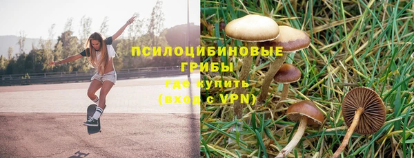 PSILOCYBIN Волосово