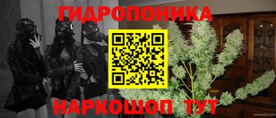 бошки Бийск