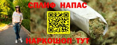 СК Балашиха