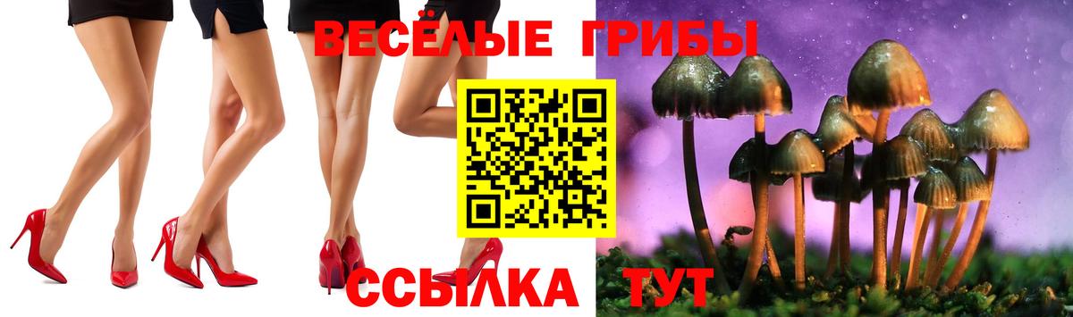 Воткинск  Галлюциногенные грибы GOLDEN TEACHER  Вход с VPN  Галлюциногенные грибы Psilocybe 