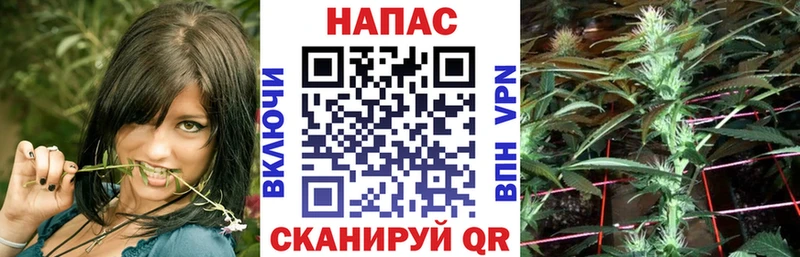 как найти закладки  Воткинск  Бошки Шишки Amnesia 