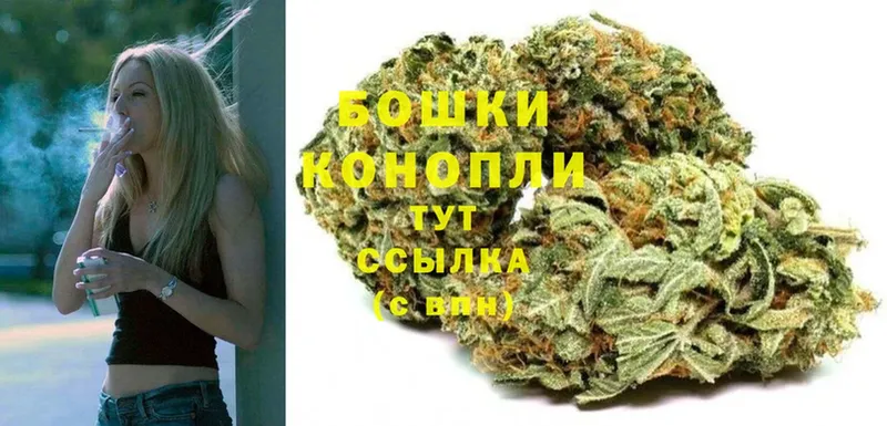 сколько стоит  Воткинск  Бошки Шишки Amnesia 